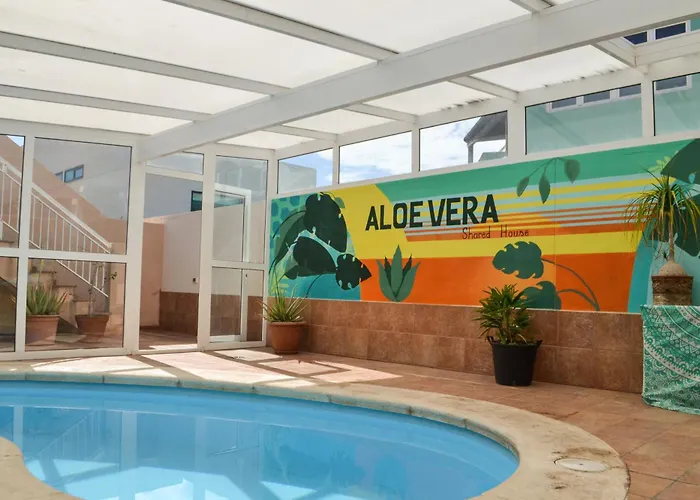 Aloe Vera Shared House * Эль-Медано