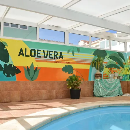 Aloe Vera Shared House Albergue