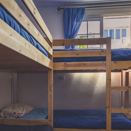 旅馆 芦荟维拉共用旅馆 厄尔梅达诺