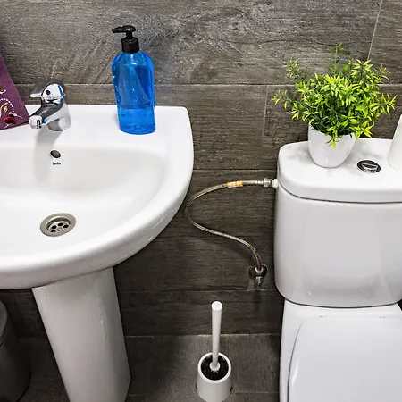 芦荟维拉共用旅馆 *