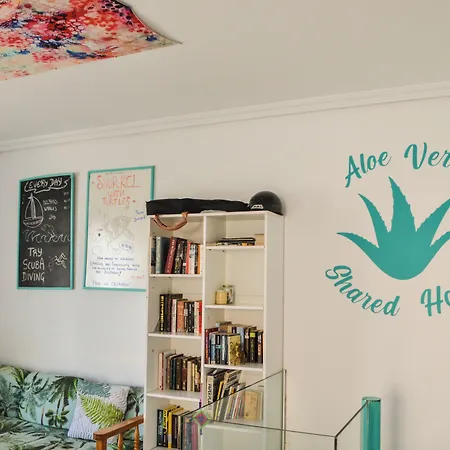 Aloe Vera Shared House Albergue *